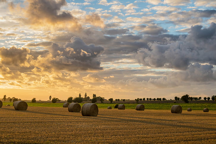 hays on wheat field during sunrise, Rolls, Sunset, Söderslätt, HD wallpaper