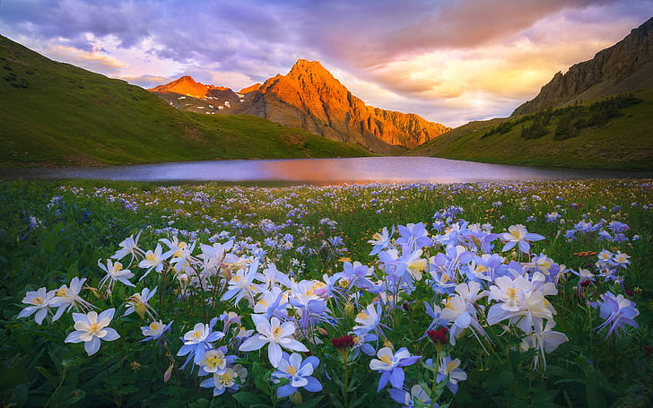Island Lake Colorado San Juan Mountains Flowers Meadow Sunset Landscape Wallpaper Hd 2560×2160, HD wallpaper
