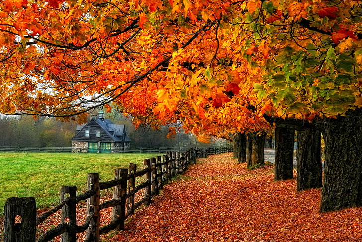HD%20wallpaper:%20brown%20wooden%20fence,%20road,%20autumn,%20leaves,%20trees,%20nature,%20%20house%20|%20Wallpaper%20Flare