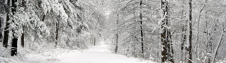 landscape nature dual screen, snow, cold temperature, winter, HD wallpaper