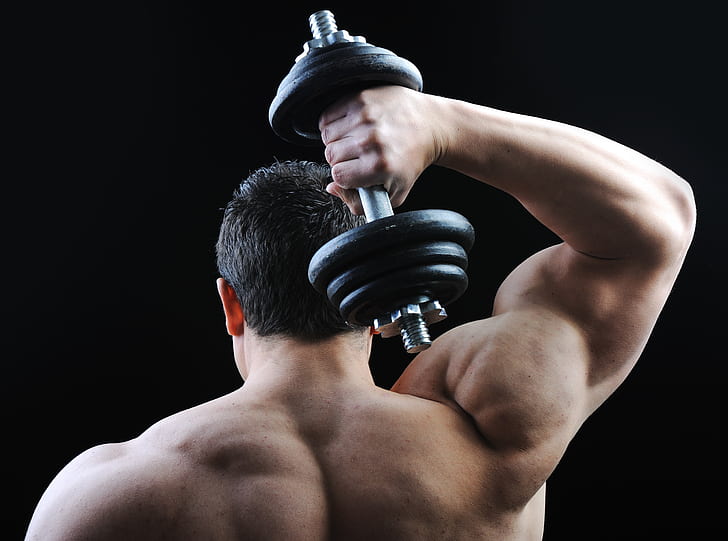 muscles, back, bodybuilding, shoulders, dumbbell, bodybuilder, HD wallpaper