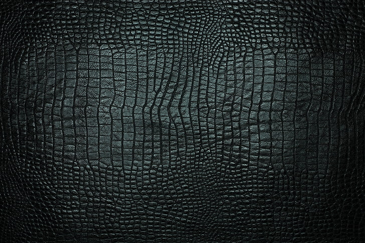 black leather pad, texture, crocodile, backgrounds, pattern, animal