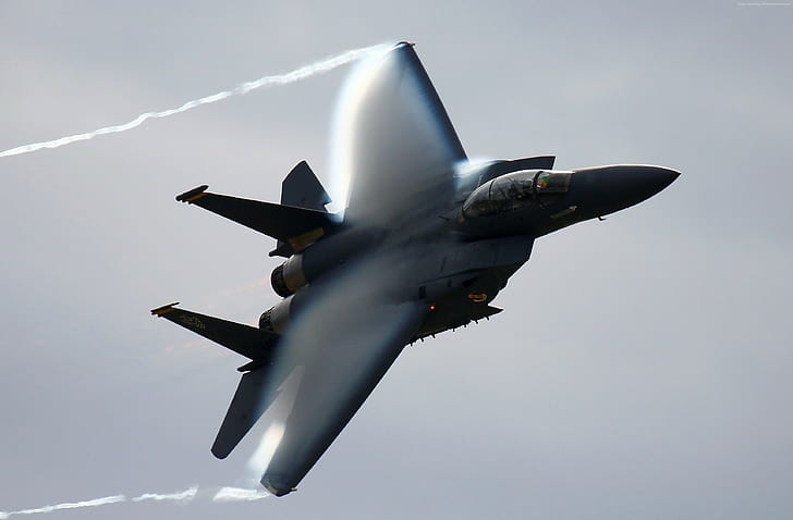 Eagle, U.S. Air Force, aircraft, USAF, F-15, McDonnell Douglas, HD wallpaper