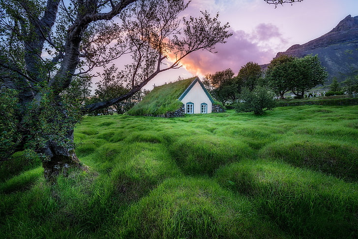 church, green, landscape, Iceland, plant, tree, architecture