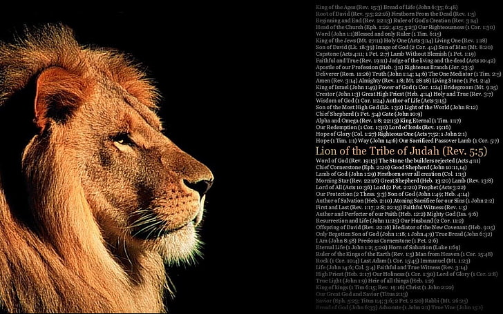 Lion of the Tribe of Jadah Rev. 5:5, quote, animal, animal themes