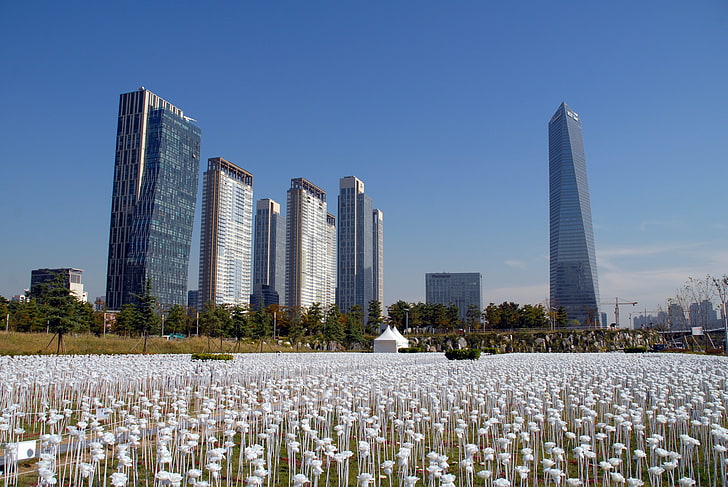 high-rise buildings, south korea, central park, songdo, skyscraper, HD wallpaper