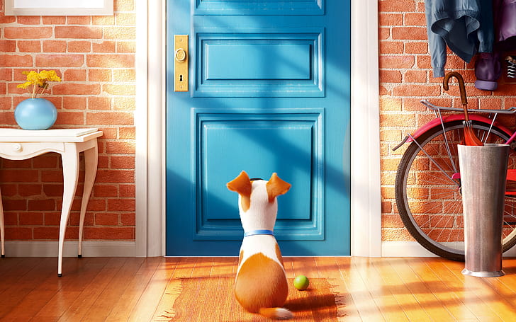 The Secret Life of Pets Movie, HD wallpaper