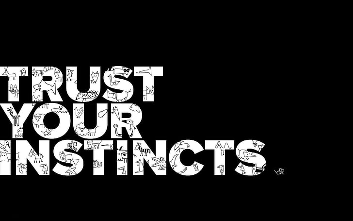 Trust Your Instincts text decor, background, the inscription, HD wallpaper