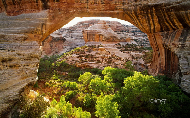 nature, landscape, arch, desert, trees, sunlight, rock, Bing, HD wallpaper