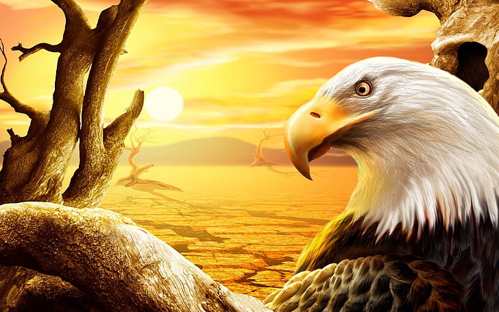 Birds 3D 1080P, 2K, 4K, 5K HD wallpapers free download | Wallpaper Flare