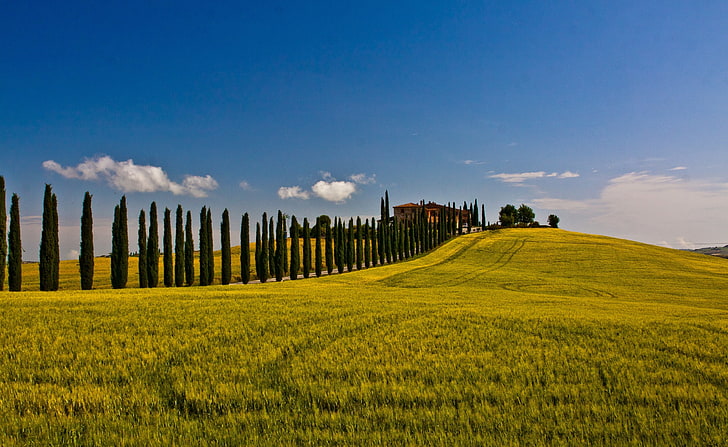 Italian Landscape, green grassfield, Nature, Summer, Scenery, HD wallpaper