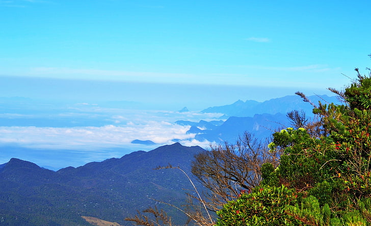 View from Caledonia - Nova Friburgo Brazil, Nature, Mountains, HD wallpaper