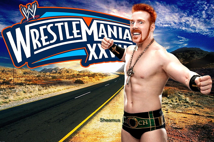 HD wallpaper: Sheamus Road To Wrestlemania, Wrestle Mania digital ...