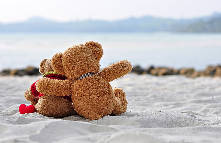 love, bear, toy, heart, romantic, sweet, Teddy