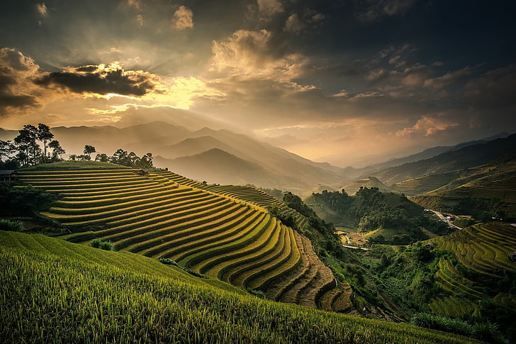 rice terraces, nature, landscape, field, mountains, mist, sunset, HD wallpaper