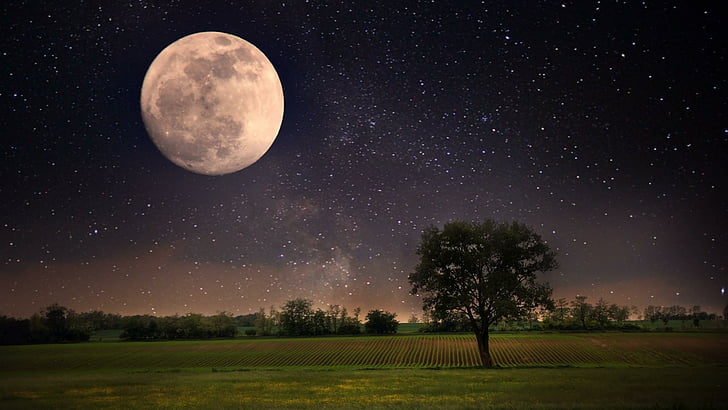 field, astronomy, landscape, lonely tree, darkness, moonlight
