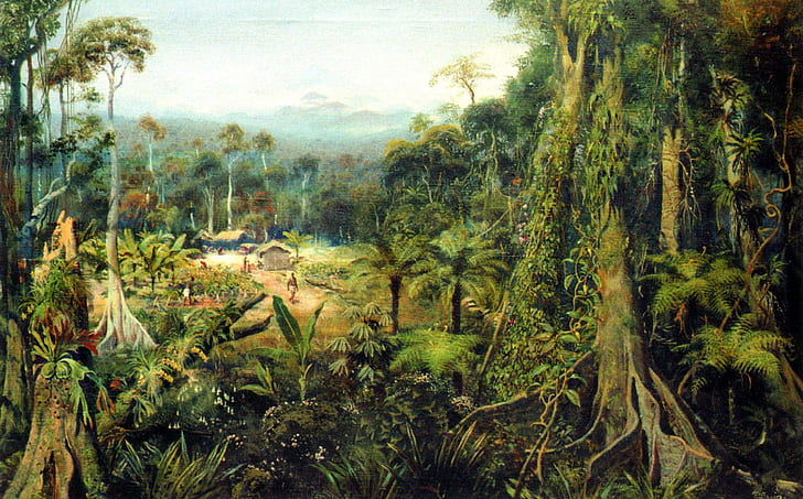 Tropical Forest, paint, jungle, nature and landscapes