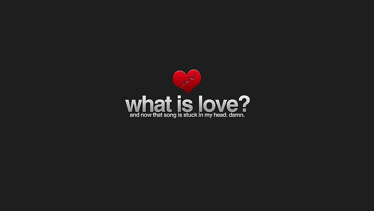 black background with what is love text overlay, typography, gray background, HD wallpaper