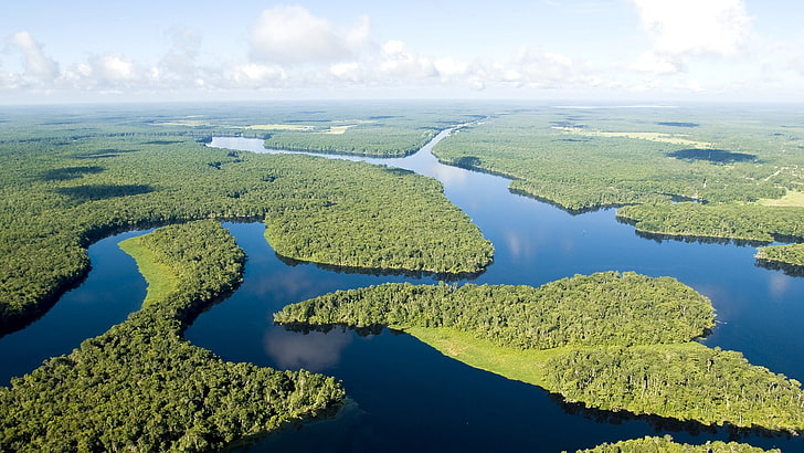 Amazon, river, jungle, bright, blue, green, aerial view, water, HD wallpaper