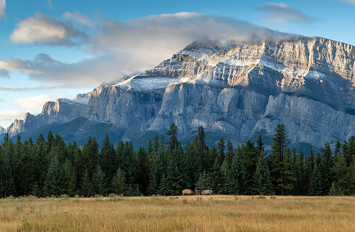 Alberta, Canada, national park, Banff National Park, mountains, HD wallpaper