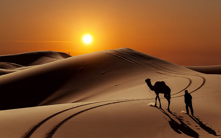 Beautiful, beauty, camel, desert, magic, people, sun, HD wallpaper
