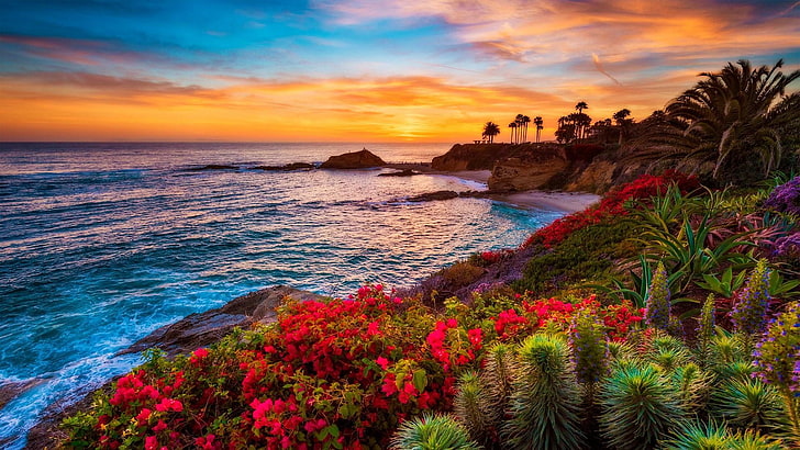 flowers, palm, bushes, coast, horizon, sea, tropics, summer, HD wallpaper