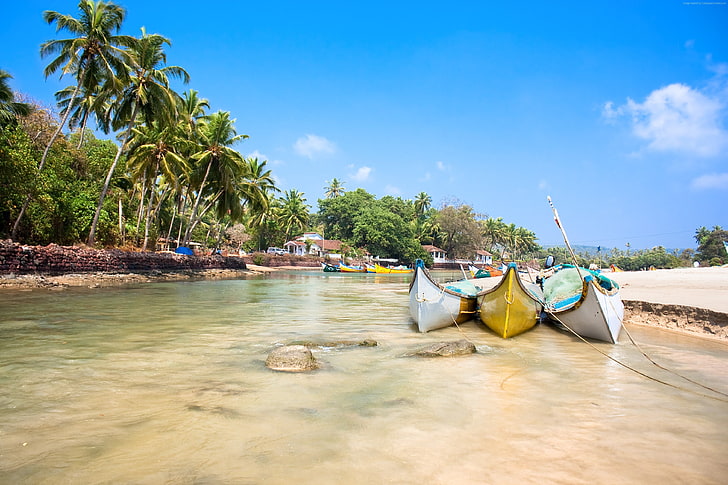 Goa beaches 1080P, 2K, 4K, 5K HD wallpapers free download | Wallpaper Flare