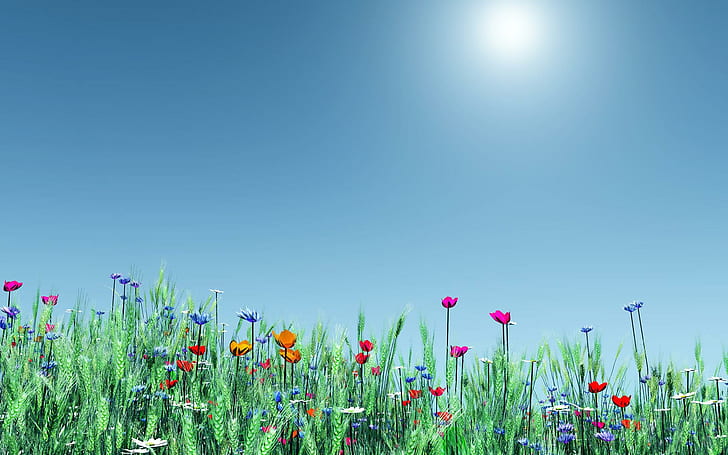 Spring Time Flowers, assorted flowers, nature, 3d and abstract