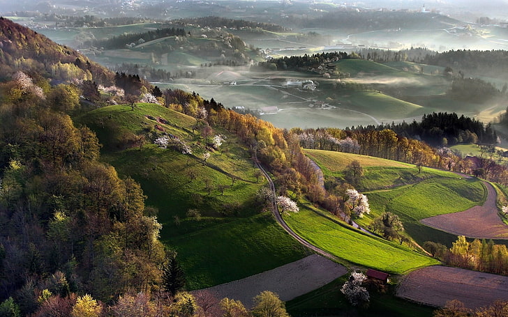 brown and green trees, nature, landscape, mist, spring, Slovenia