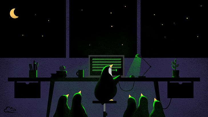computer, digitalocean, night, Penguins