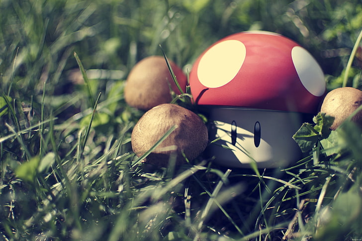 nintendo super mario mushrooms super mario bros nikon oneup super nintendo super mario mushroom ma Video Games Mario HD Art