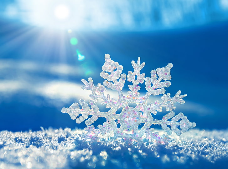 Snowflake, white snowflake, Aero, Macro, Winter, beauty in nature, HD wallpaper