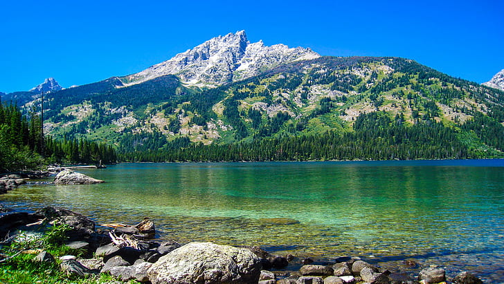 Landscape, Nature, Mountain, Forest, Lake, Water, Calm, Stones, Pine Trees, Clear Sky, HD wallpaper