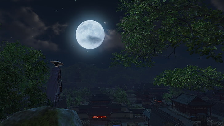 white full moon, WuXia, China, video games, night, tree, plant