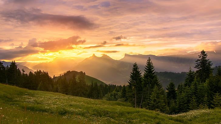 forest photo during sunset photo, Rayons, de, Gruyères, Fribourg, HD wallpaper