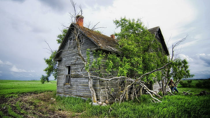 Old Timber House, countryside, timber houses, rotting homesteads