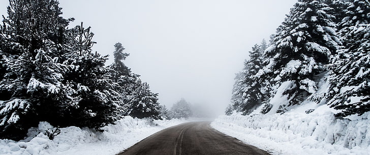 ultrawide, snow, road, winter, cold temperature, tree, plant, HD wallpaper
