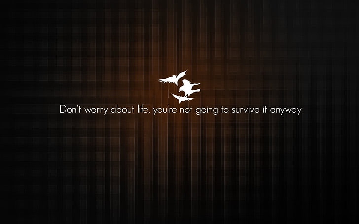 don't worry about life text, quote, star shape, no people, pattern, HD wallpaper