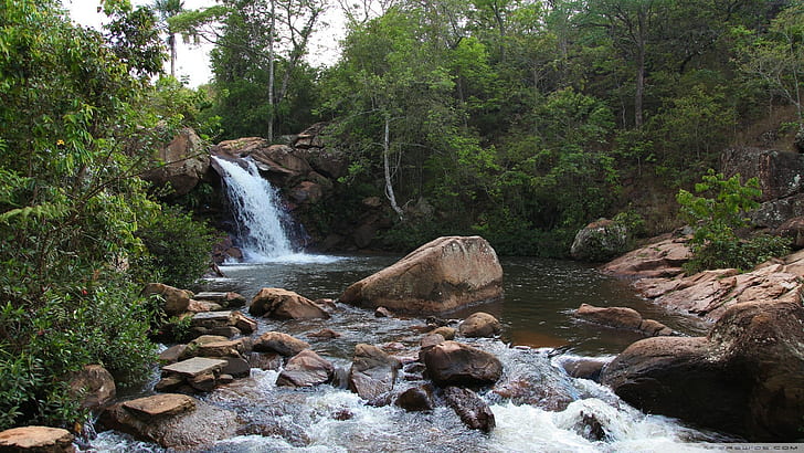 Waterfall Rocks Stone Trees Forest Stream HD, nature, HD wallpaper
