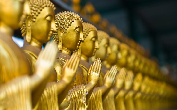 gold-colored steel Buddha statue lot, gold buddha, depth of field
