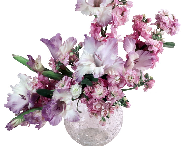 white-and-pink petaled flowers, gladioli, bouquet, vase, nature