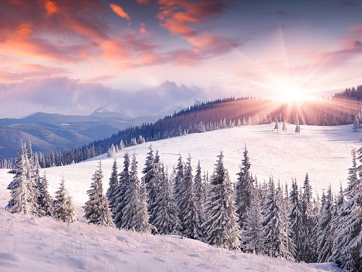 Dawn, winter, snow, sun, mountains, trees, sunset on snowy mountain painting