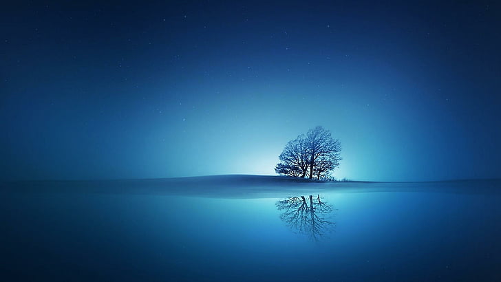 HD wallpaper: nature, lone tree, lonely tree, bluish, reflection, reflected  | Wallpaper Flare