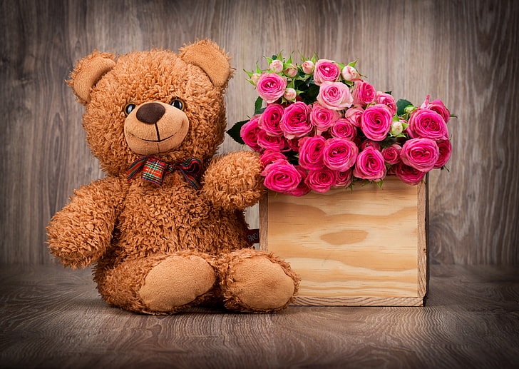 brown bear plush toy, basket, roses, bouquet, pink, flowers, romantic, HD wallpaper