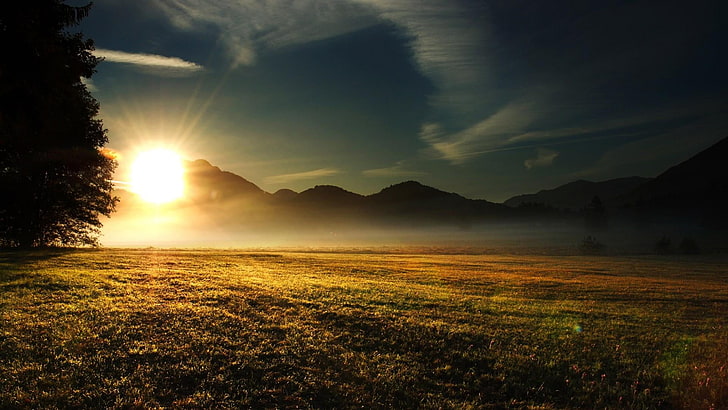 meadow, sunset, field, evening, sky, beauty in nature, scenics - nature, HD wallpaper