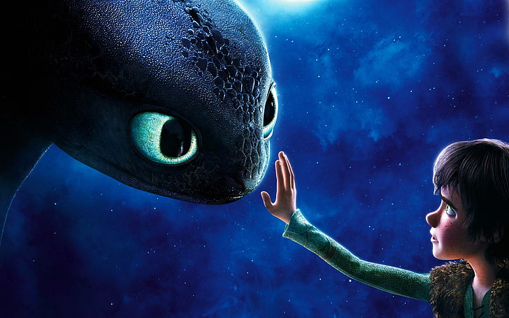 How to Train your Dragon 1 digital wallpaper, Hiccup, Toothless