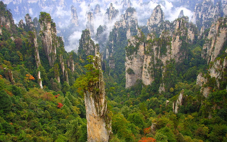 forest, clouds, mountains, cliff, China, nature, Wulingyuan National Park, HD wallpaper