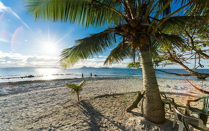 Nature, Landscape, Palm Trees, Beach, Sand, Sea, Sunlight, Summer, Tropical, Island, HD wallpaper