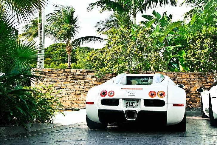 white Bugatti  Veyron, Flo Rida, tamron, usa, spotting, silver