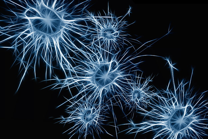 blue and white digital wallpaper, neurons, cell, structure, exploding